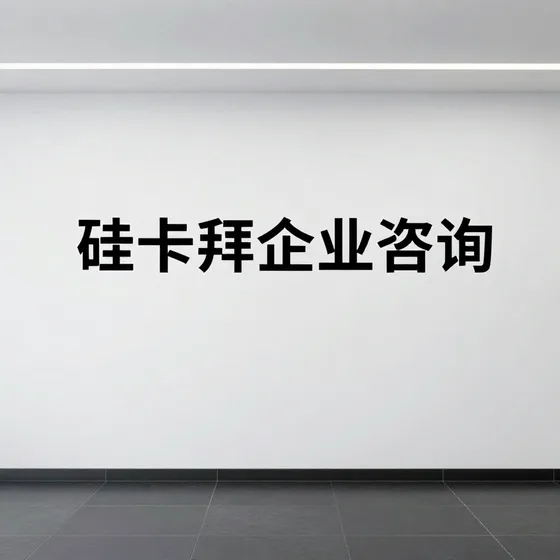 矽卡拜企业咨询