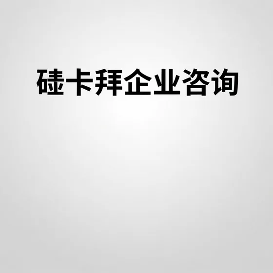 矽卡拜企业咨询